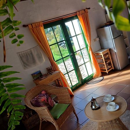Casa Flor Azul Villa Las Tricias Kültér fotó