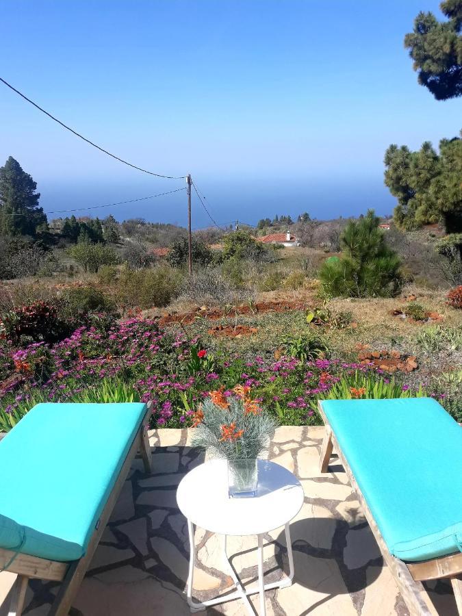 Casa Flor Azul Villa Las Tricias Kültér fotó